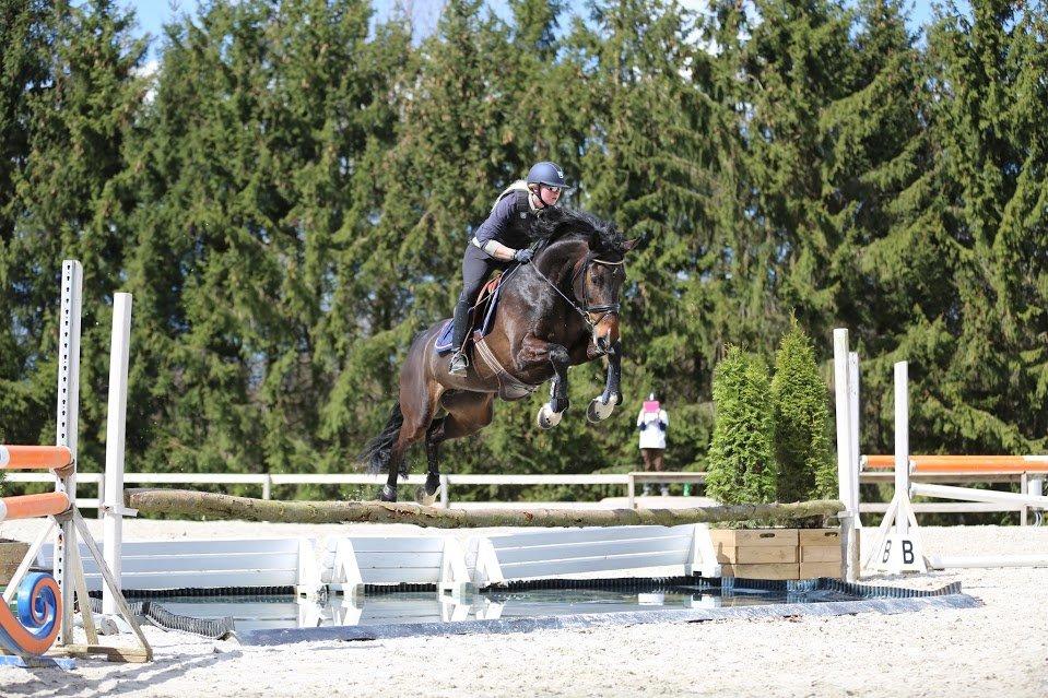 Dansk Varmblod Stald König's Escape <3 billede 1