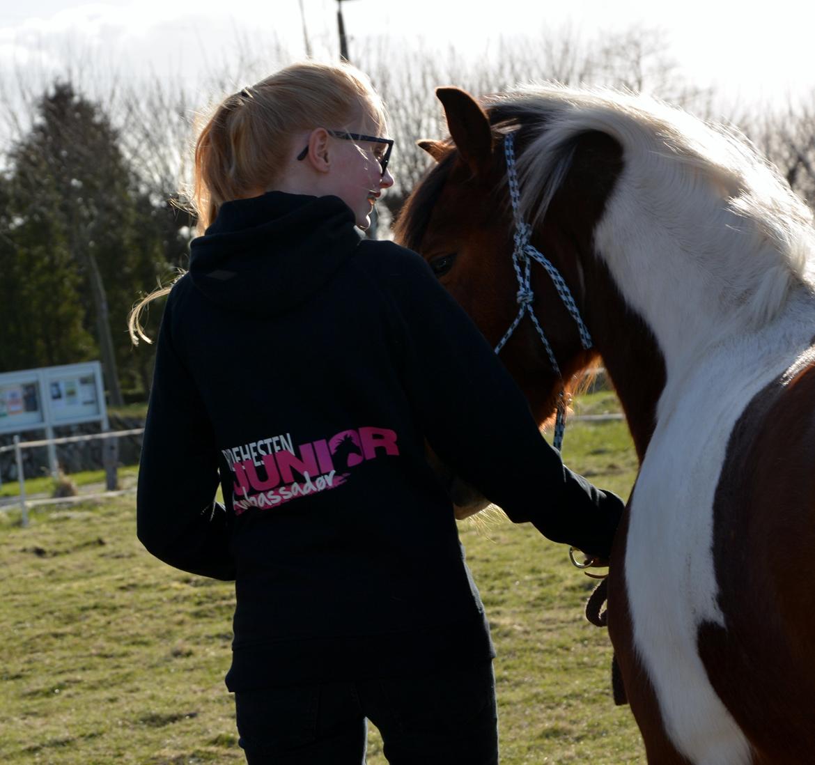 Anden særlig race Pinocchio Star billede 13