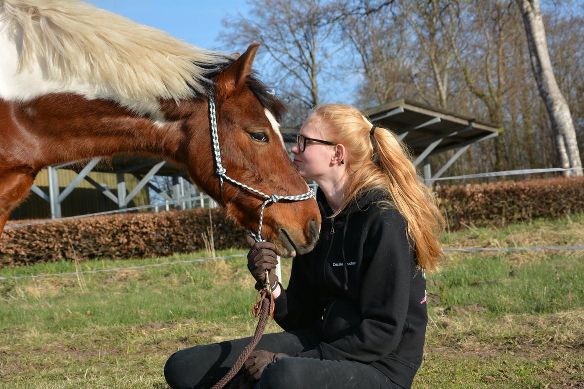 Anden særlig race Pinocchio Star billede 14