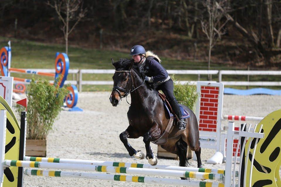 Dansk Varmblod Stald König's Escape <3 billede 4