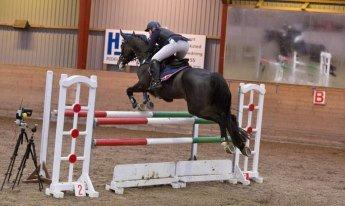 Dansk Varmblod Stald König's Escape <3 billede 8