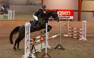 Dansk Varmblod Stald König's Escape <3 billede 9