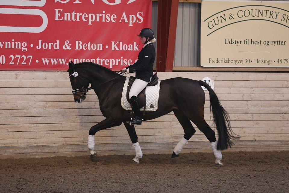 Dansk Varmblod Stald König's Escape <3 billede 12