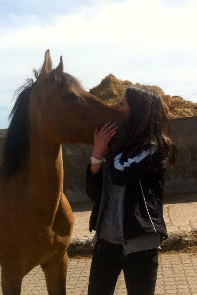 Anden særlig race Lady - Elsker den pony <3. Foto: MIchelle billede 16