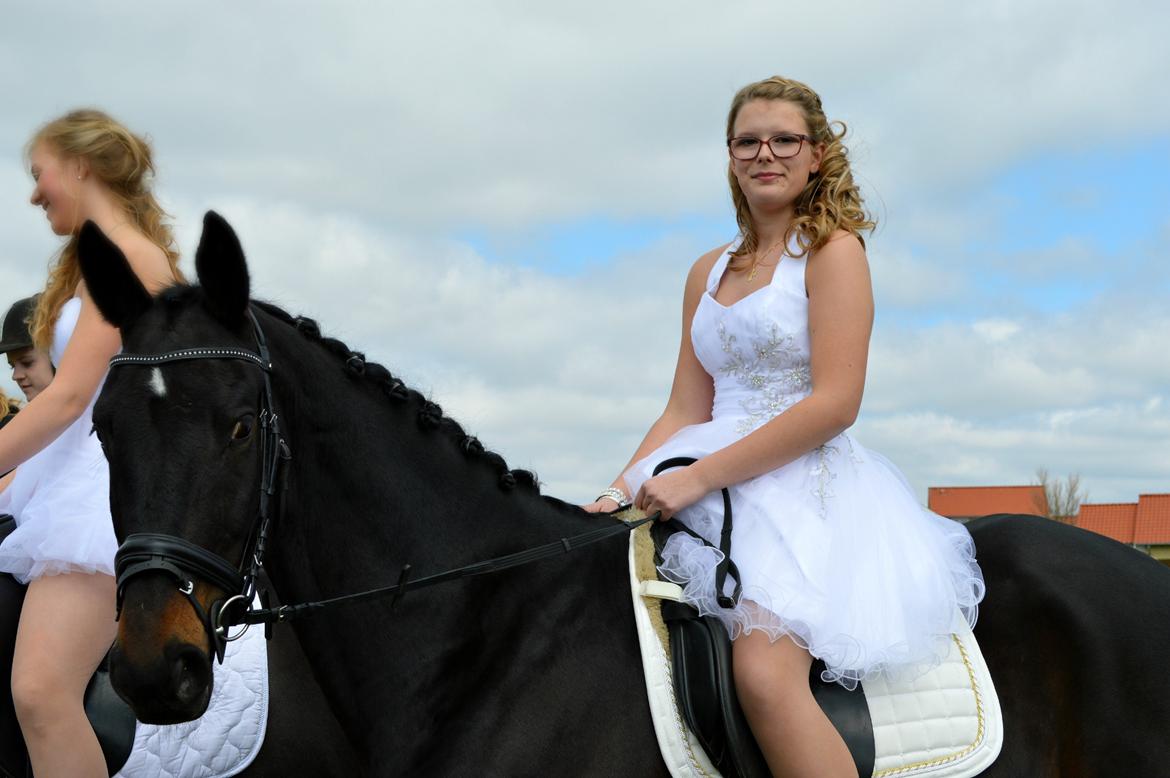 Hollandsk Varmblod Benneton <3 - Benneton kom til kirken, til min konfirmation <3 billede 11