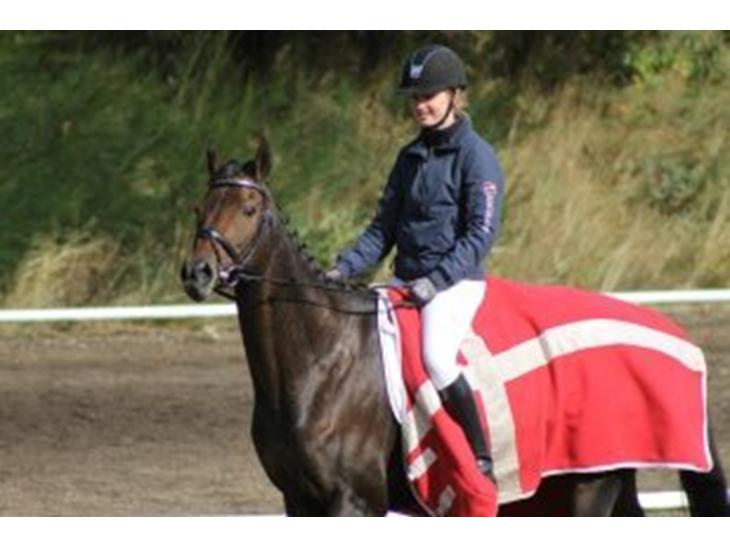 {{currentPhoto.altText}} billede {{currentPhoto.number}}