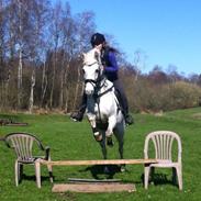 Anden særlig race Silver (My Princess) :*