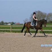 Oldenborg Wolhøjgaards Carola