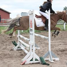 Anden særlig race Deluxe