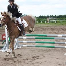 Anden særlig race Deluxe