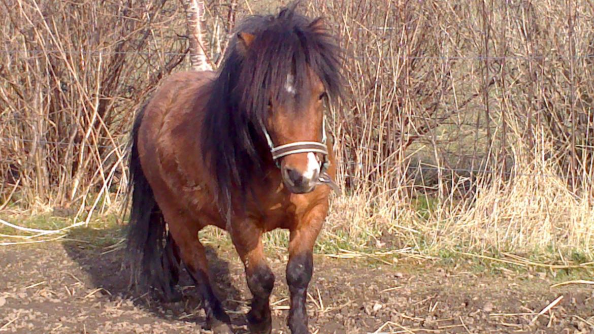 Miniature LUKAS billede 4