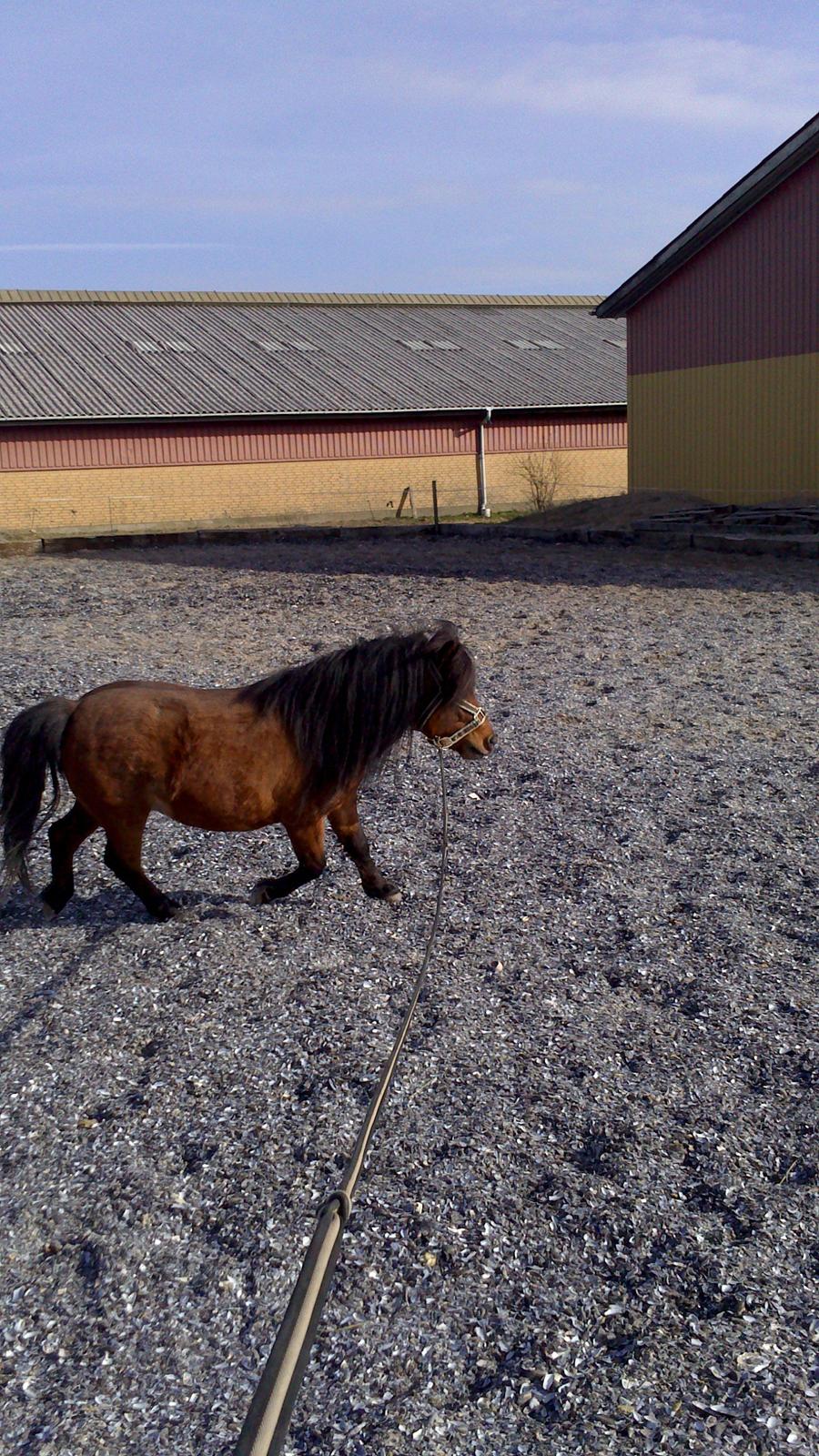 Miniature LUKAS billede 5