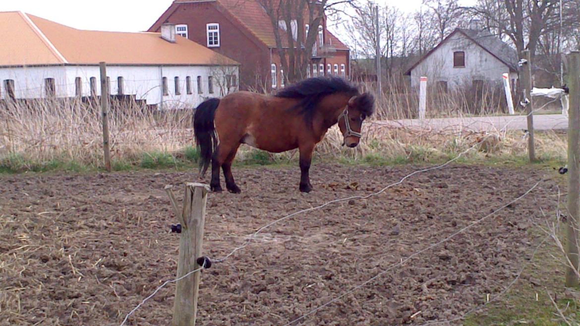 Miniature LUKAS billede 1