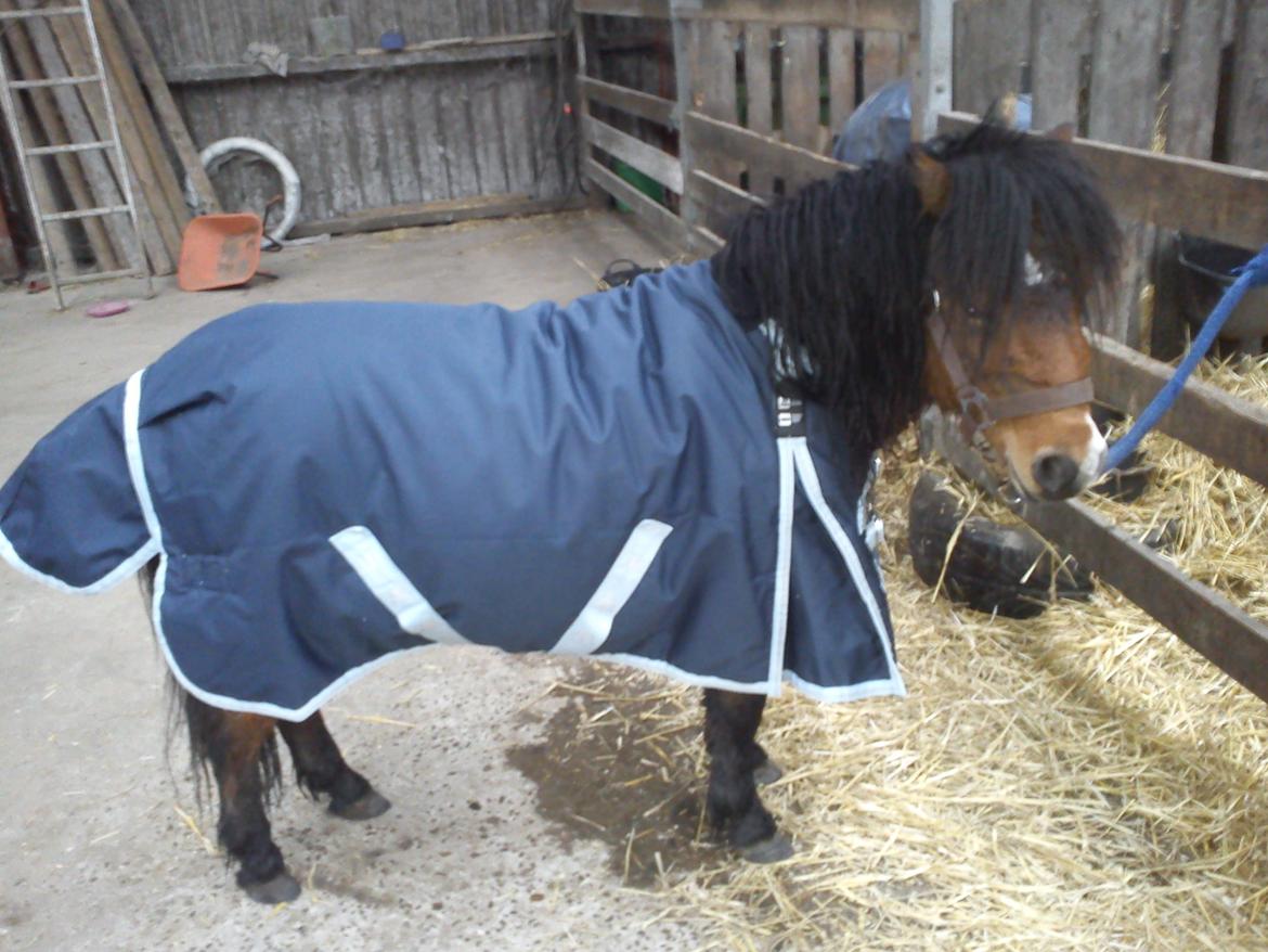 Miniature LUKAS billede 10