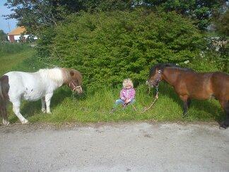 Miniature LUKAS billede 14