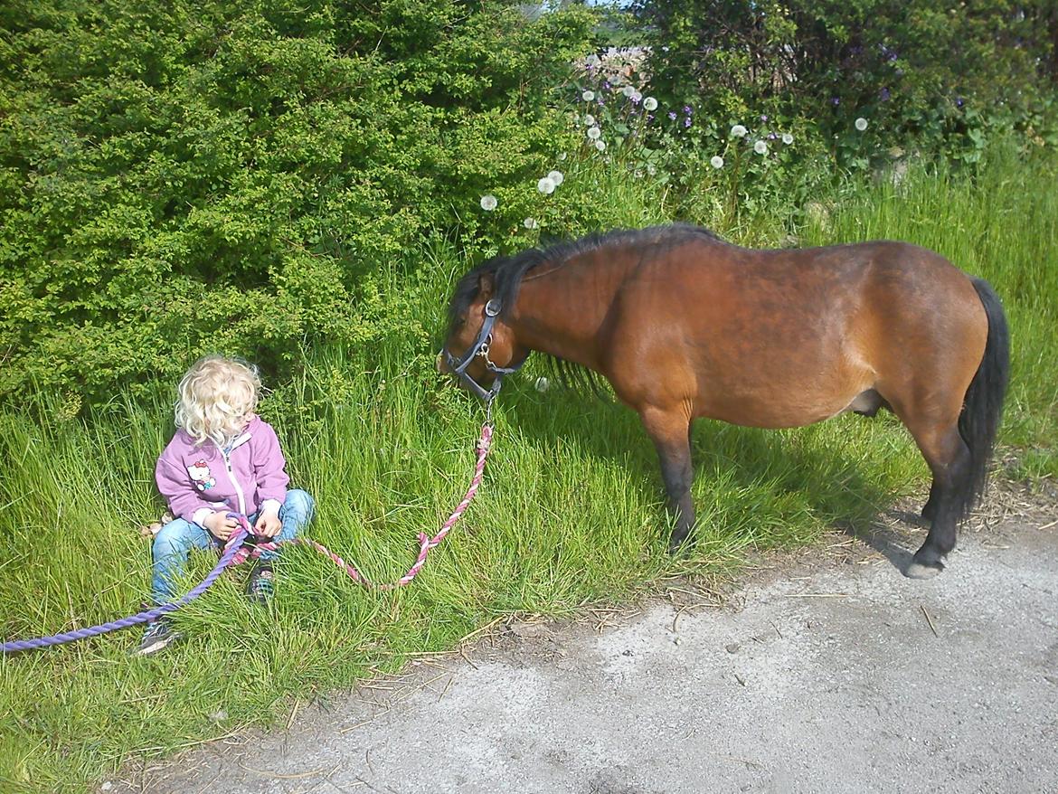 Miniature LUKAS billede 15