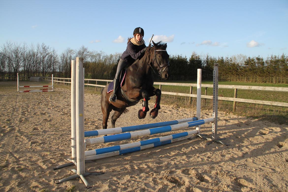 Oldenborg Sigersholmgårds Firano - første udendørs undervisningstime
30. april 2013 billede 7