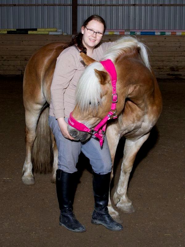 Haflinger Sabrina billede 13