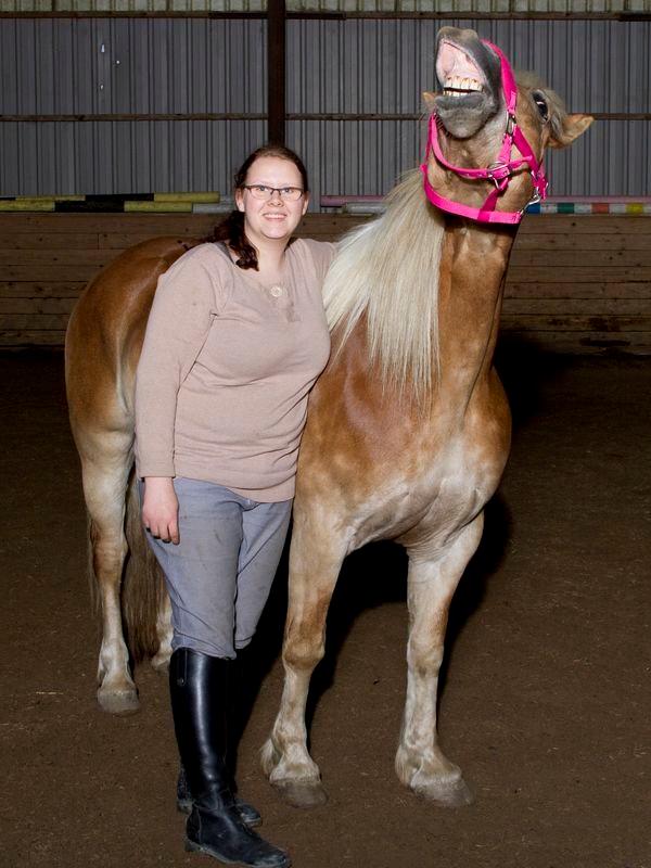 Haflinger Sabrina - tak for kigget! :D billede 14