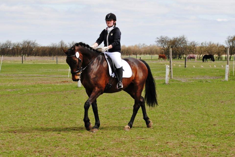 Holstener Cjang - opvarmning  billede 1