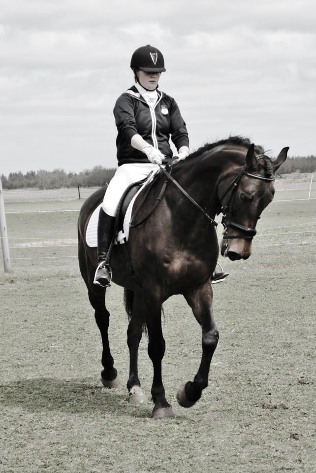 Holstener Cjang - opvarmning  billede 2