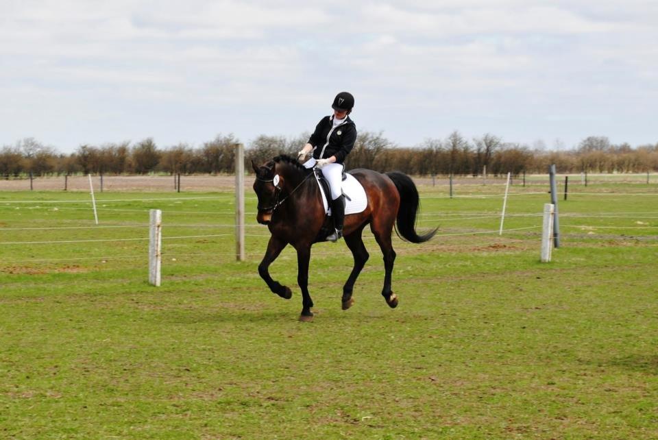 Holstener Cjang - opvarmning  billede 3