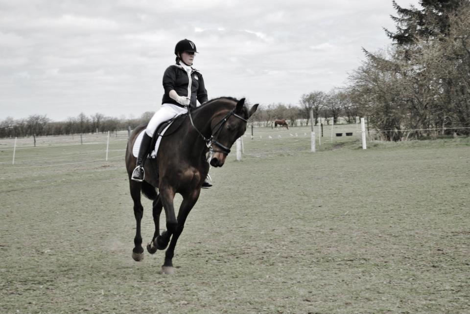 Holstener Cjang billede 5