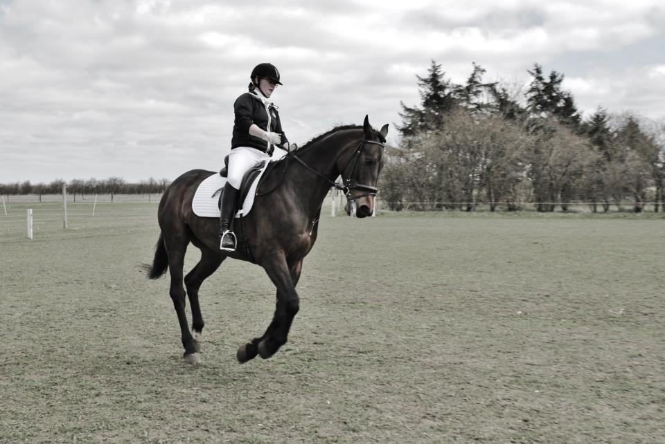 Holstener Cjang billede 6