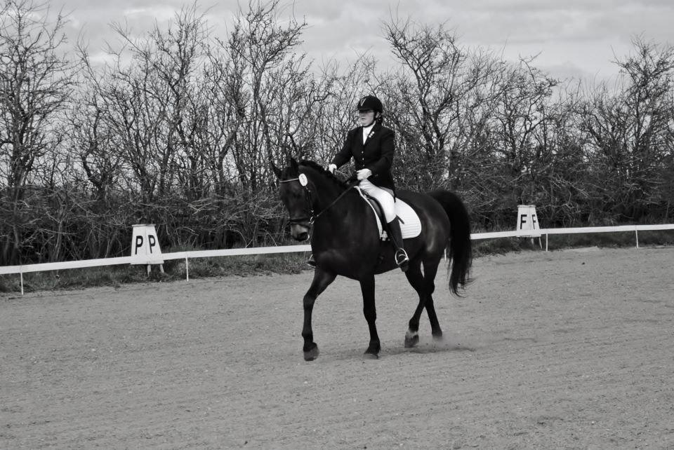 Holstener Cjang billede 9