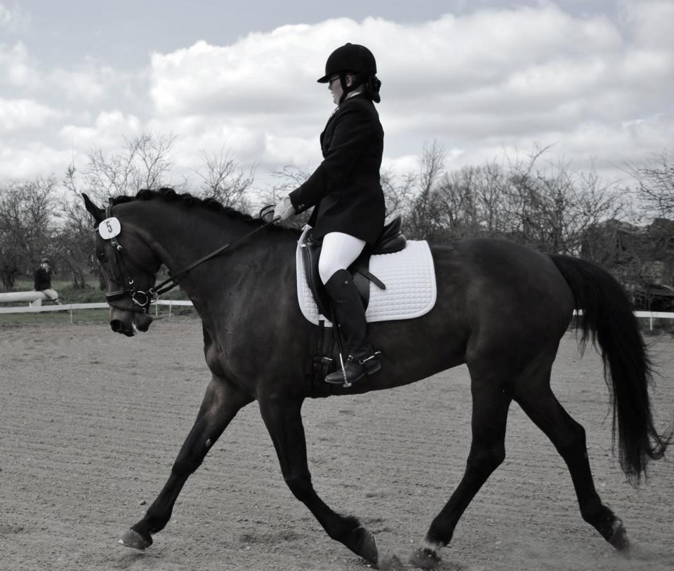 Holstener Cjang billede 11