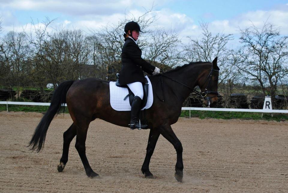 Holstener Cjang billede 12