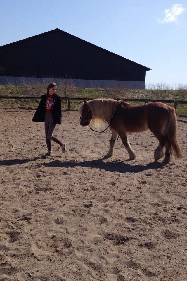 Anden særlig race Mac Gregor/Mags<333 - Mags!!<333 billede 9
