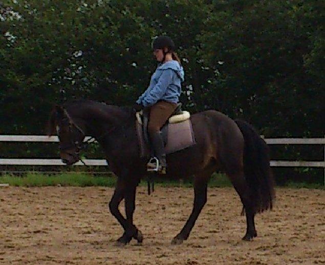 Anden særlig race Prins Charming *Har redet* billede 3