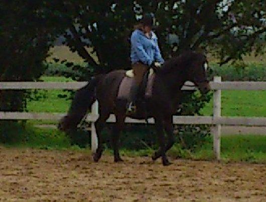 Anden særlig race Prins Charming *Har redet* billede 10