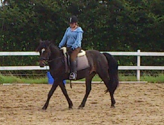 Anden særlig race Prins Charming *Har redet* billede 11