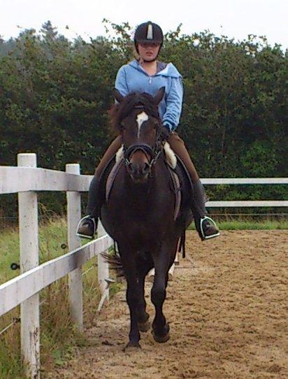 Anden særlig race Prins Charming *Har redet* billede 13