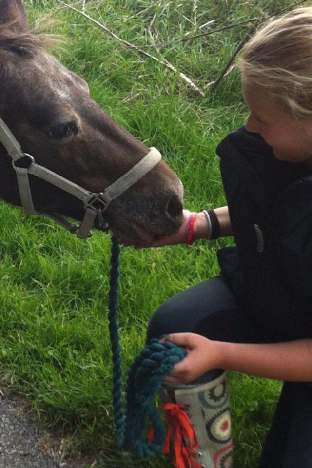 Anden særlig race Erika billede 7
