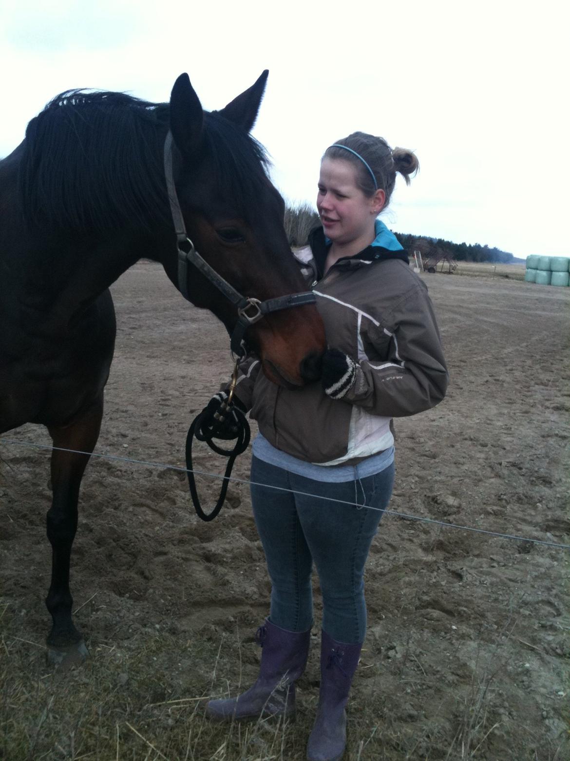 Anden særlig race Tazana billede 5