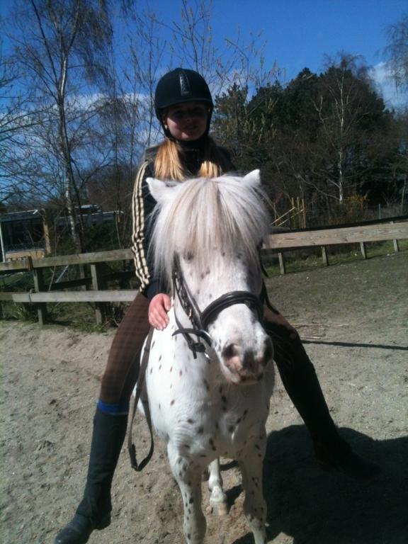 Knabstrupper Susi af Kaldred *Prinsessen* - I cannot imagine living without you <3 billede 10