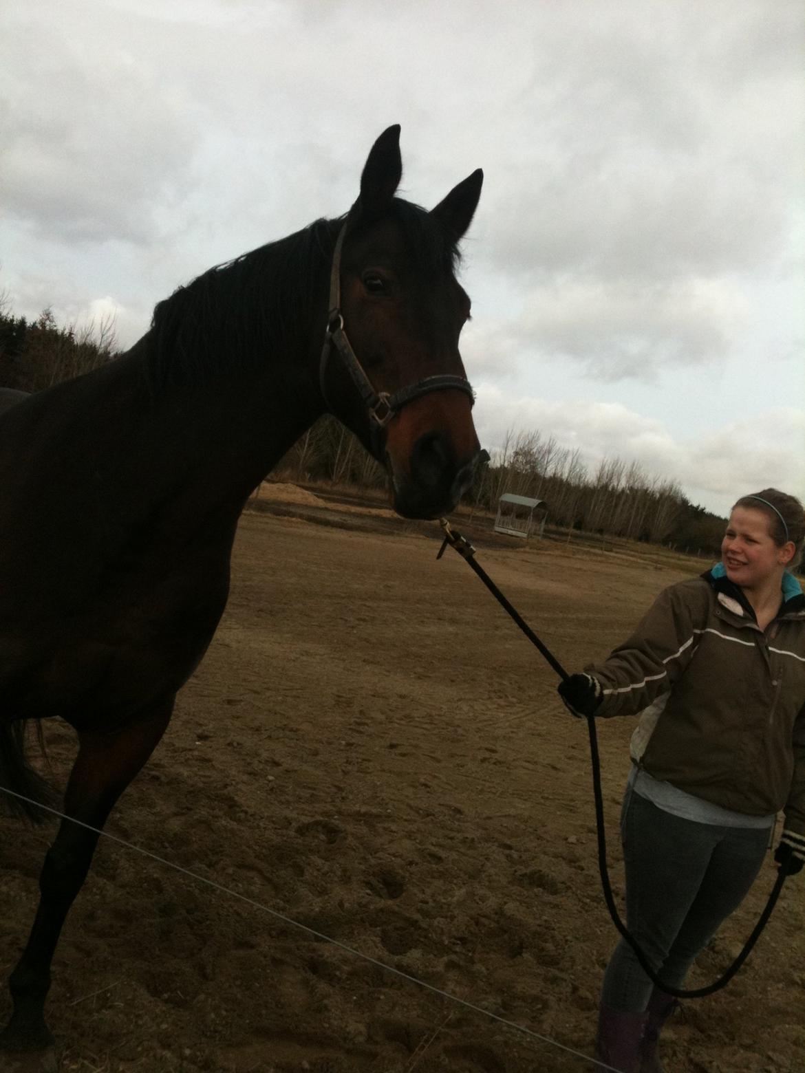 Anden særlig race Tazana billede 6