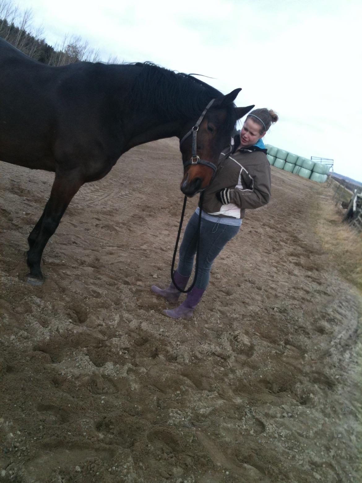 Anden særlig race Tazana billede 8