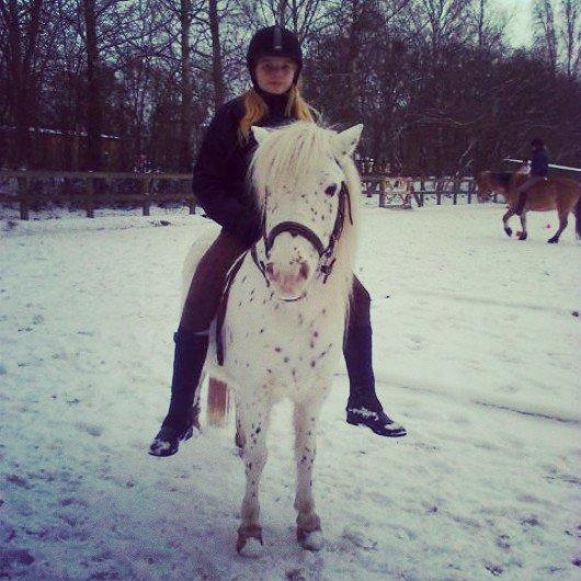 Knabstrupper Susi af Kaldred *Prinsessen* - You are my friend, my love, my all <3 billede 17