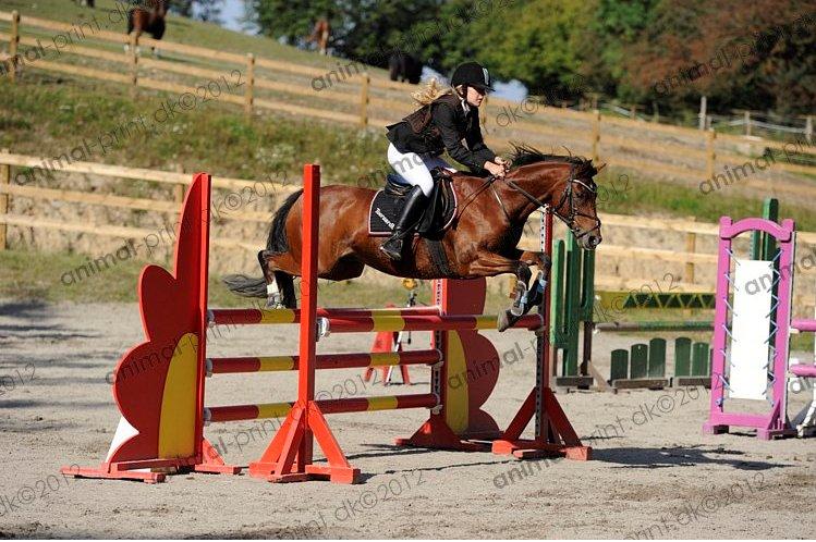 DSP Tooruardh (Tor) - my soulmate<3 - love uuuu <3 billede 4