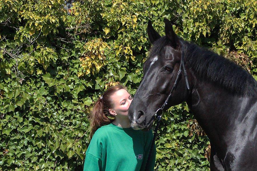 Oldenborg Felix - Søde ven <3 hjemme hos mig d.1 maj 2013  billede 20