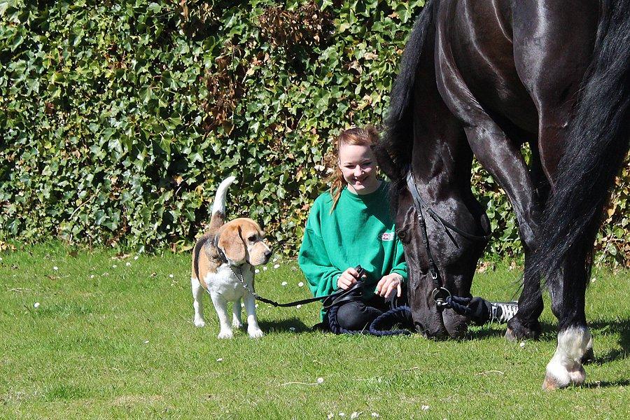 Oldenborg Felix - Søde drenge <3 d.1 maj 2013 hjemme hos mig  billede 11