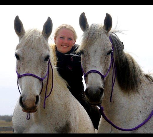 Shagya Araber (SH) Sv's O'balina Lightwood<3 - Mine to piger<3 billede 2