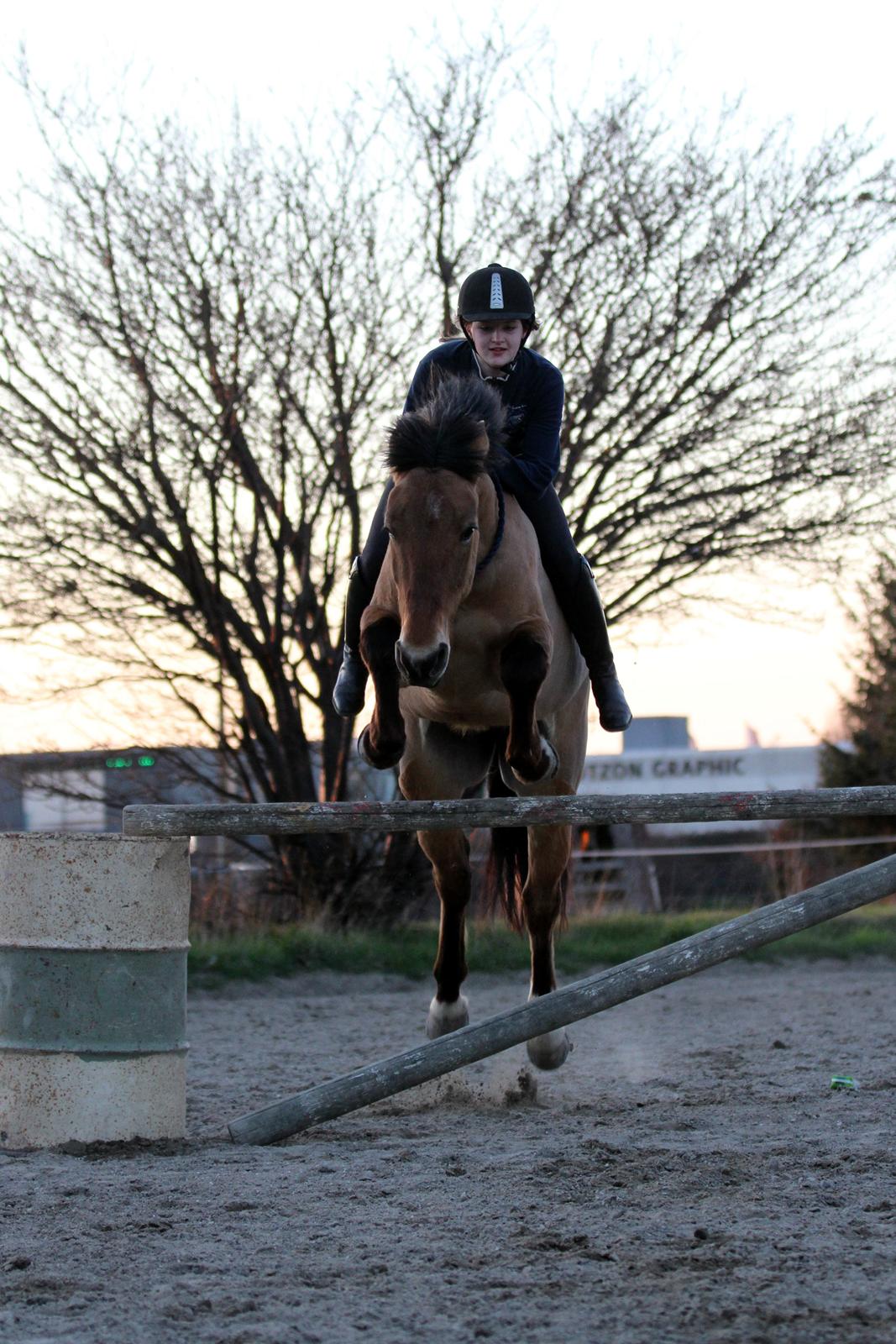 Anden særlig race Flicka | Thanks for the memories <3 - 1 meter i cordeo :-)

Taget af: https://www.facebook.com/FrejaSifFoto?fref=ts billede 14