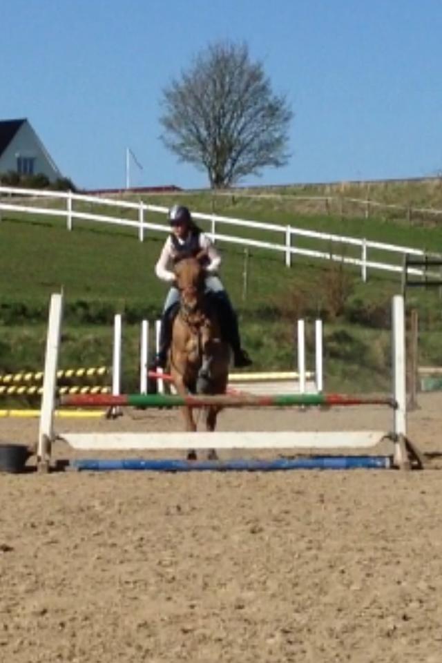 Anden særlig race kandis - springning hos Fedder;D billede 14