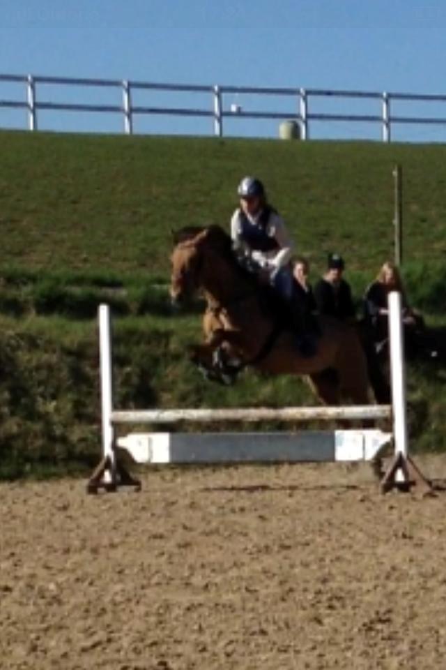 Anden særlig race kandis - springning hos Fedder;D billede 15