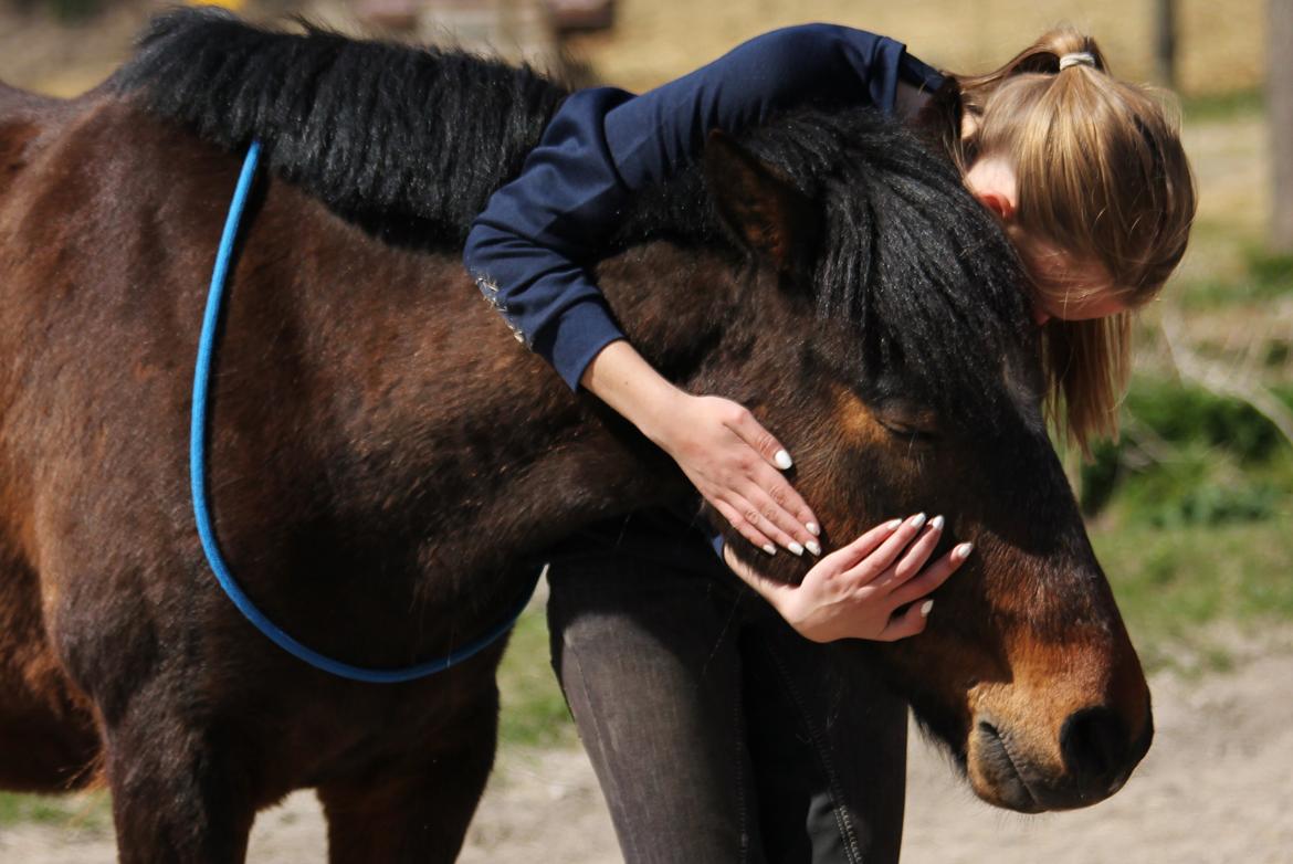 Anden særlig race Tjalfe - A friend is someone who knows all about you and still loves you. ♥ [Foto: Line] billede 2